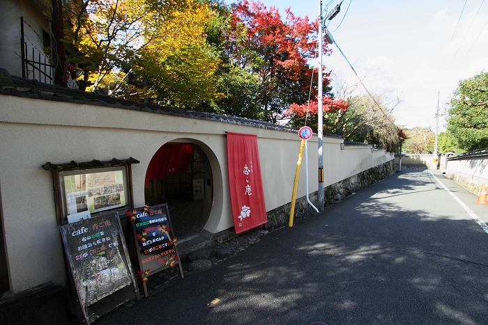 2011紅葉の京都へ（前編）_b0169330_21554729.jpg