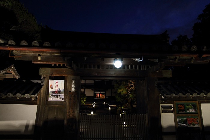 2011紅葉の京都へ（前編）_b0169330_21565446.jpg