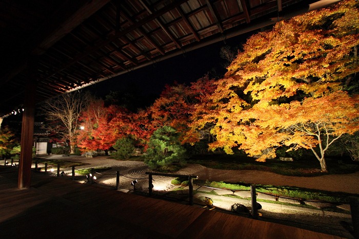 2011紅葉の京都へ（前編）_b0169330_2157788.jpg