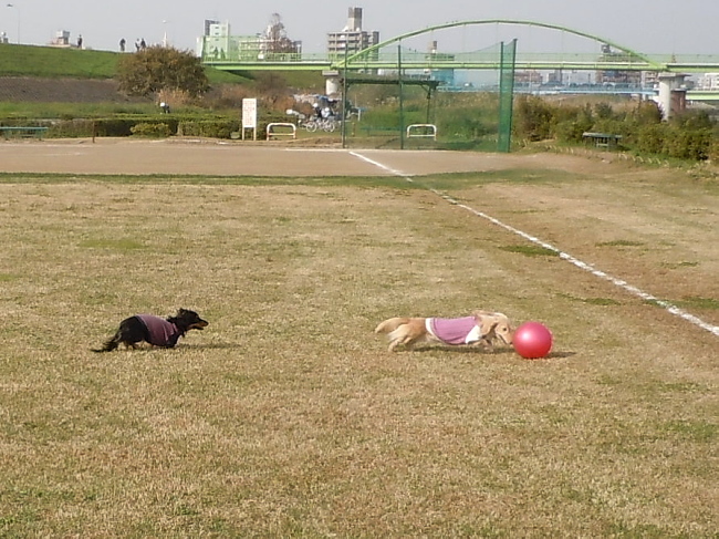 c0117831_22112884.jpg
