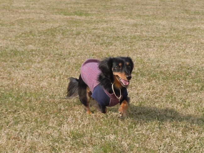 c0117831_22114437.jpg
