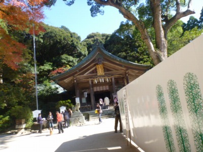 山の図書館の留守番　11月26日（土）_f0194931_4284669.jpg