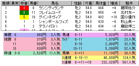 2242　▼ジャパンカップ。　ゴール前、②⑯の叩き合いは、競馬最高のシーン。　いい試合だった。_c0030536_21595942.jpg