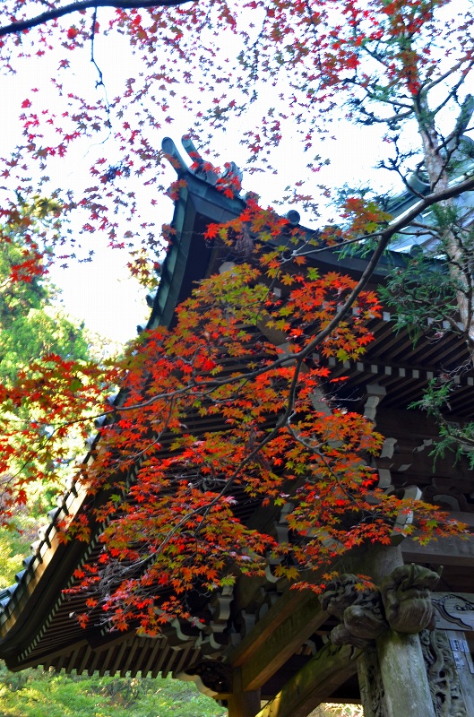 c0220040_23103666.jpg