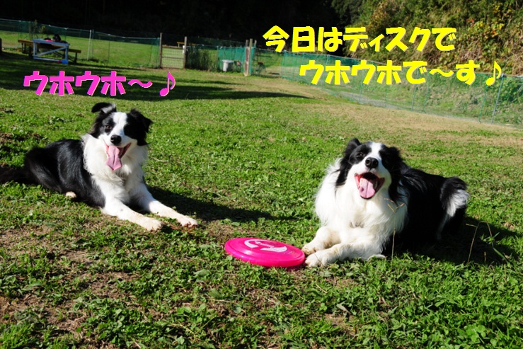 c0147241_1631619.jpg