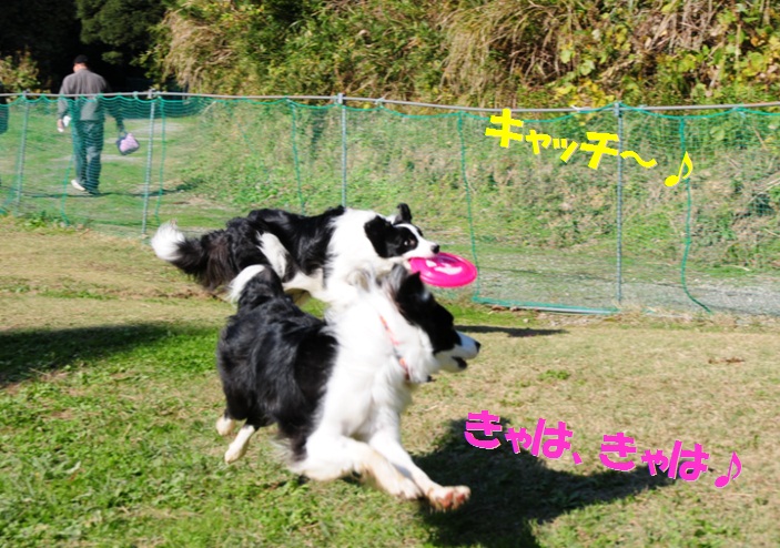 c0147241_163341.jpg