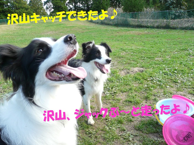 c0147241_1634818.jpg