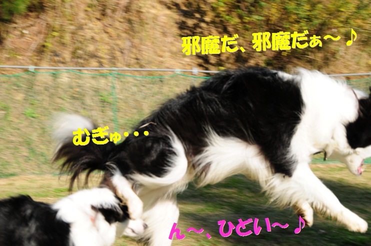 c0147241_1635949.jpg