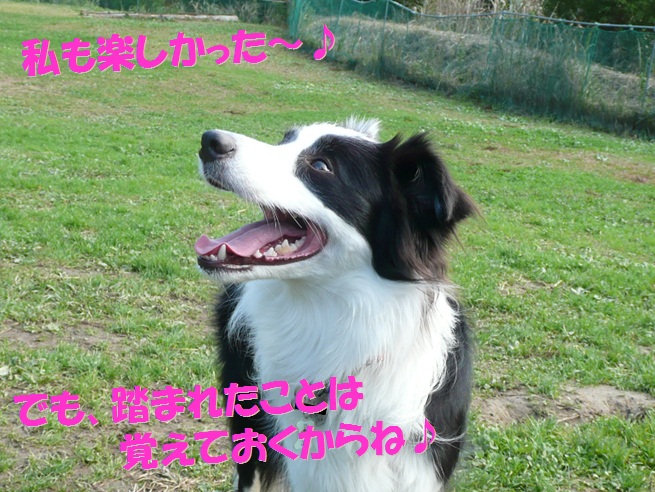 c0147241_1641473.jpg