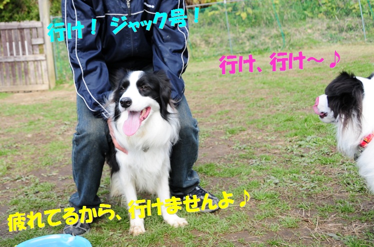 c0147241_1642177.jpg