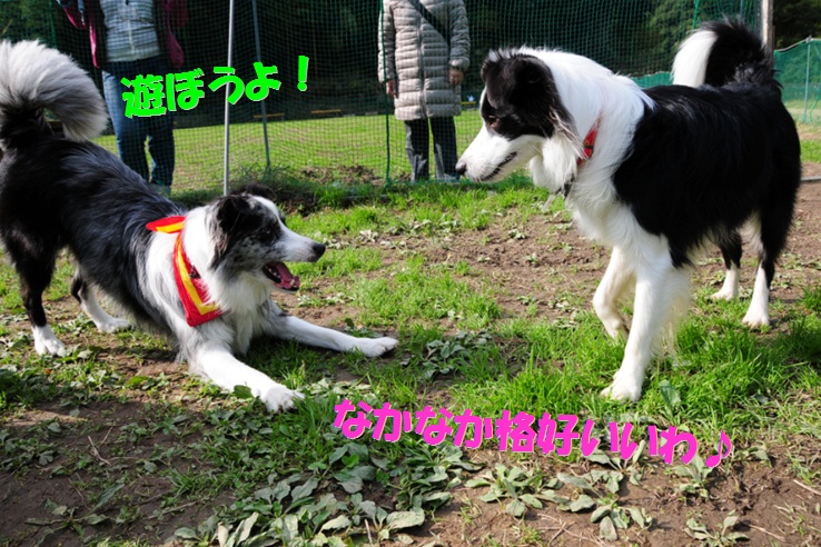 c0147241_1642638.jpg