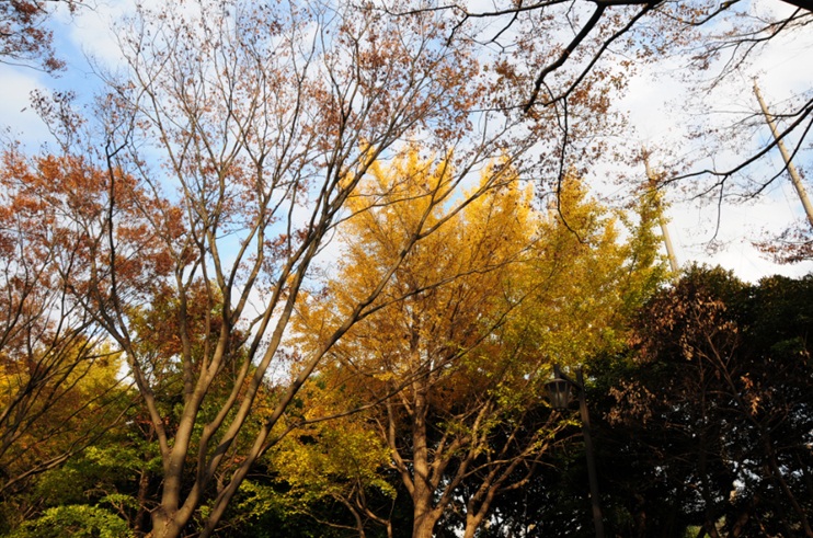 c0147241_1643929.jpg