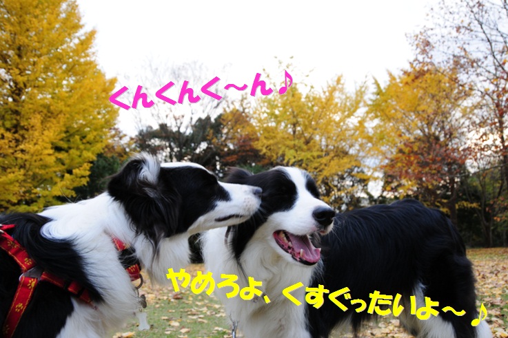 c0147241_1644593.jpg