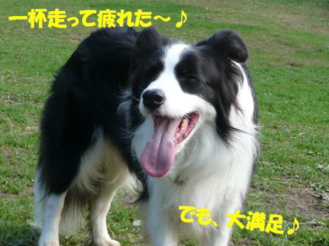 c0147241_164850.jpg