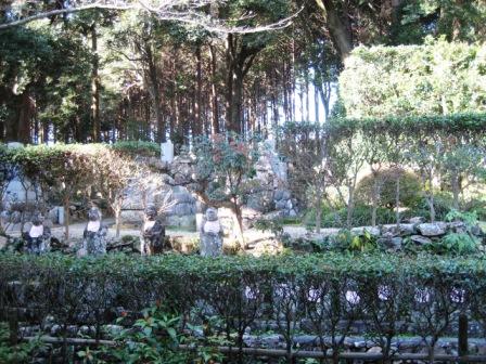 寒くなってきました。((((;゚Д゚))))_c0206545_201218100.jpg