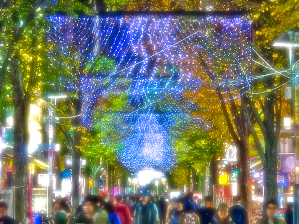 街の明かりがとてもきれいねヨコハマ〜_b0229648_2335022.jpg