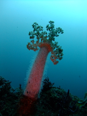 d0058549_20552285.jpg