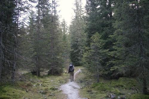 b0175255_1813171.jpg