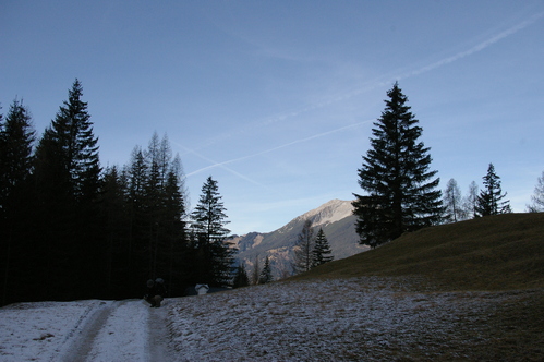 b0175255_183093.jpg