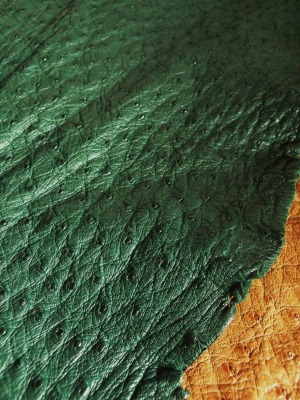 b0117564_21523751.jpg