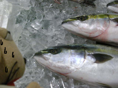 c0158573_121378.jpg