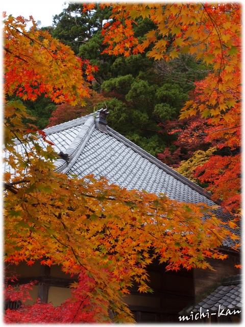 紅葉便り　Part2　「永源寺」_e0215073_21124162.jpg