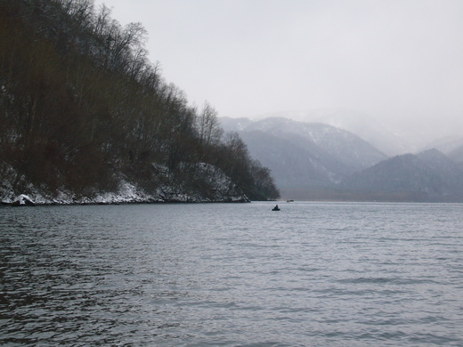 a0118989_21473011.jpg
