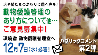 解禁です_a0126590_1344963.jpg