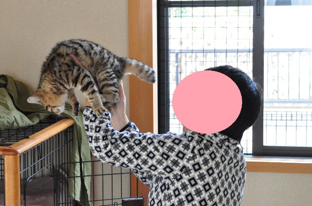 女の子じゃなかった!!_a0126590_22513585.jpg