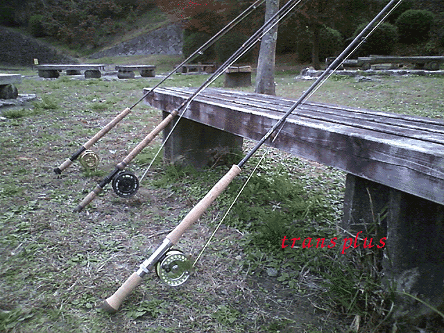 b0031493_51419.gif