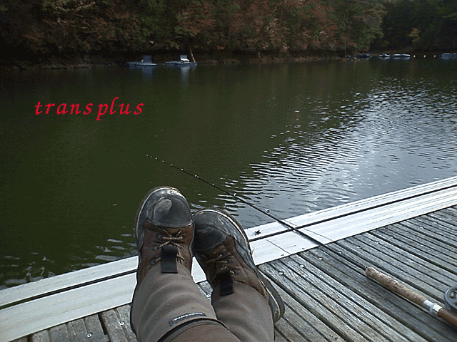 b0031493_5143991.gif