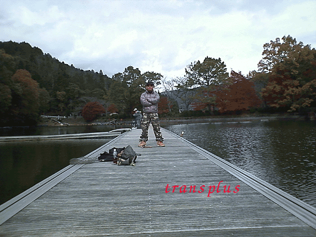b0031493_515494.gif