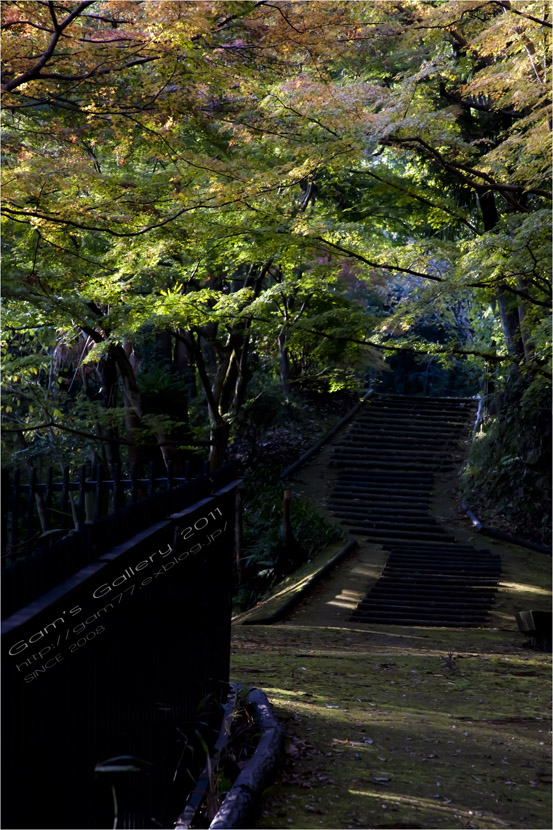 f0195893_65773.jpg