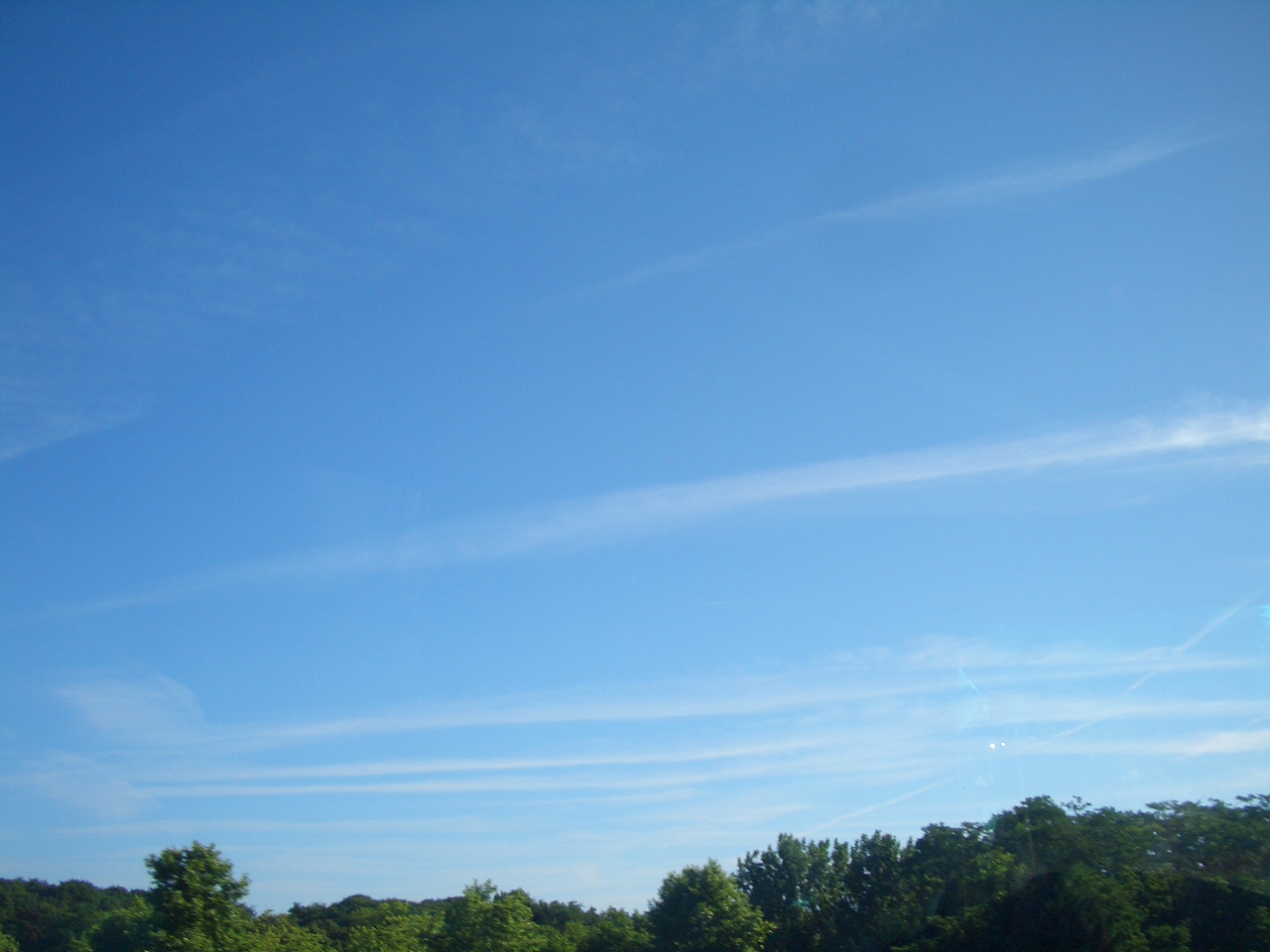 d0135694_239229.jpg