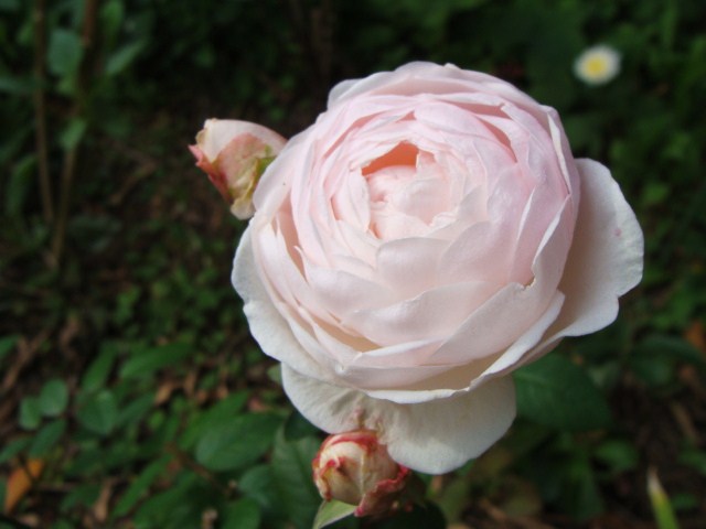c0105295_13122783.jpg
