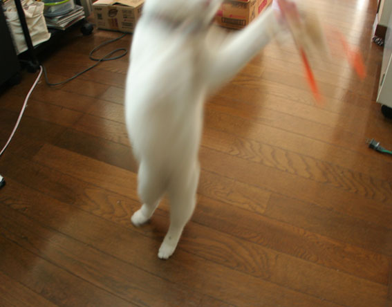 d0071596_10244431.jpg
