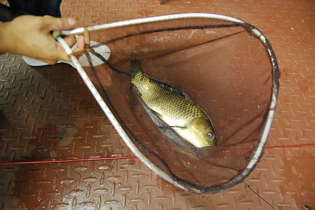 f0210098_22623.jpg