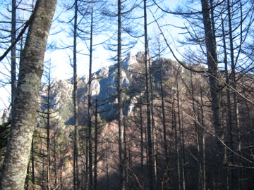 a0117599_93942.jpg