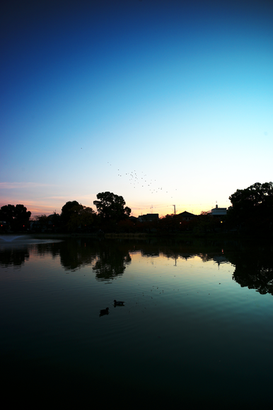 f0110099_224525.png