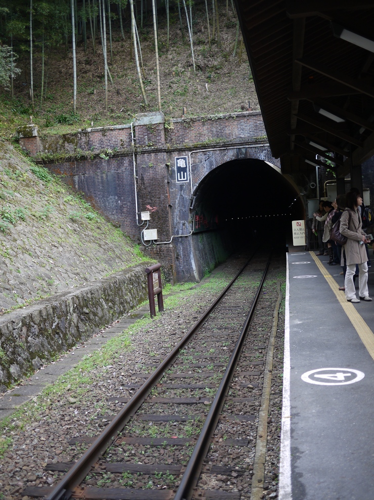 トロッコ電車でＧＯ！！_e0252304_1357936.jpg