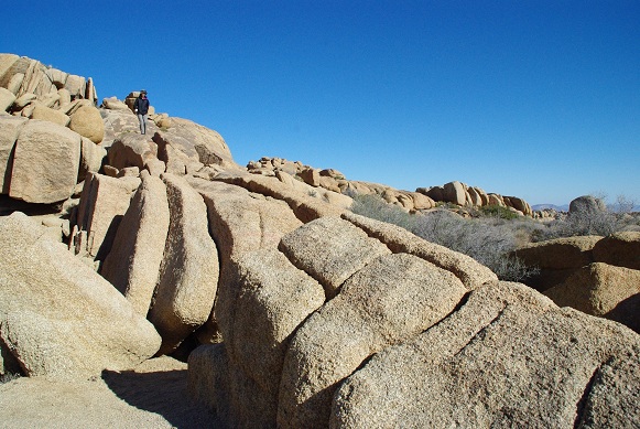 f0038904_7302914.jpg