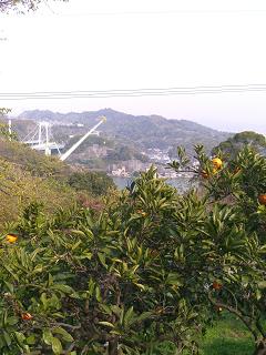 a0240108_17502665.jpg