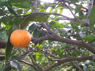 a0240108_17552160.jpg