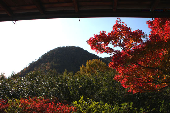 光悦寺　紅葉盛り_e0048413_2364781.jpg