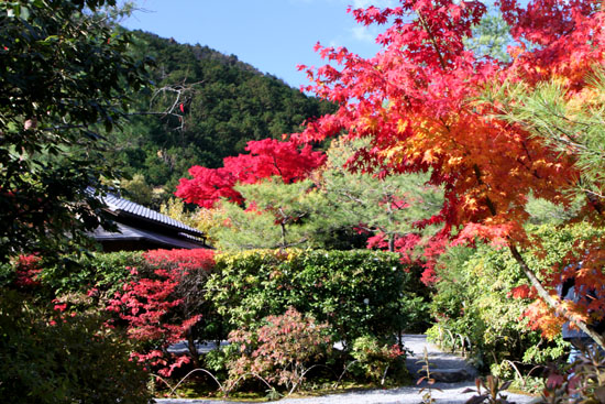 光悦寺　紅葉盛り_e0048413_2371831.jpg