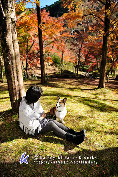 紅葉の写真です~♪_f0155118_1174772.jpg