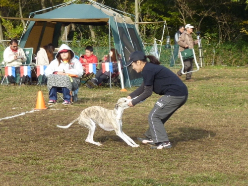 HFJ 2011ラストコンペin秋ヶ瀬　あんな事こんな事編（笑）_c0050220_10535468.jpg