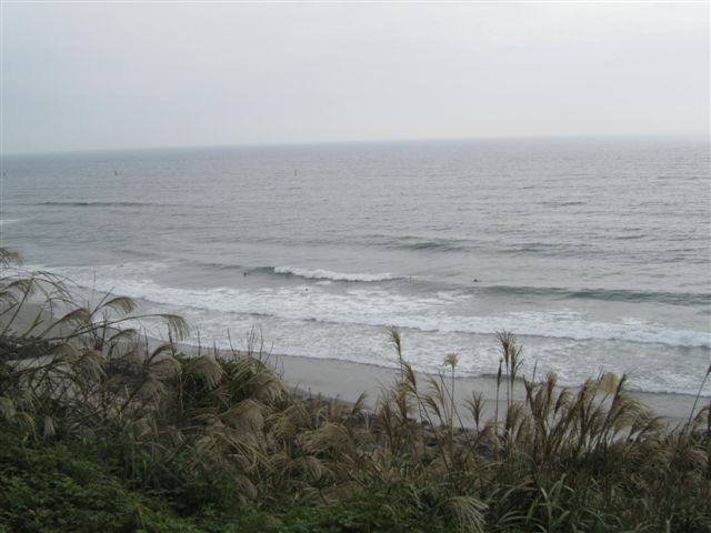 f0136926_22365970.jpg