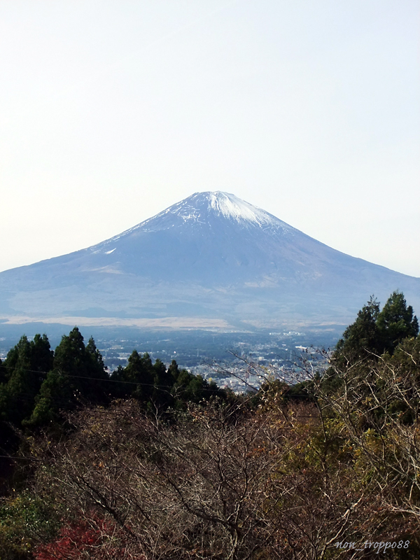 d0086329_193144.jpg