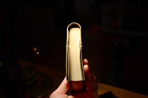 book cover_b0172633_17342960.jpg
